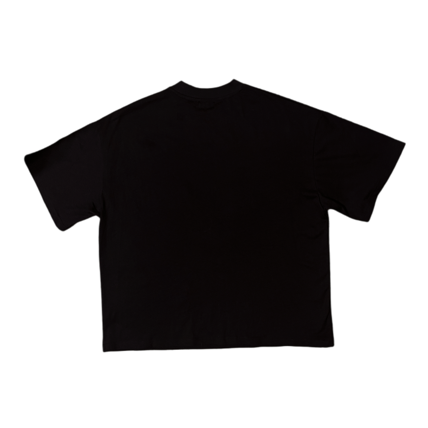 Dishonored Fate T-shirt